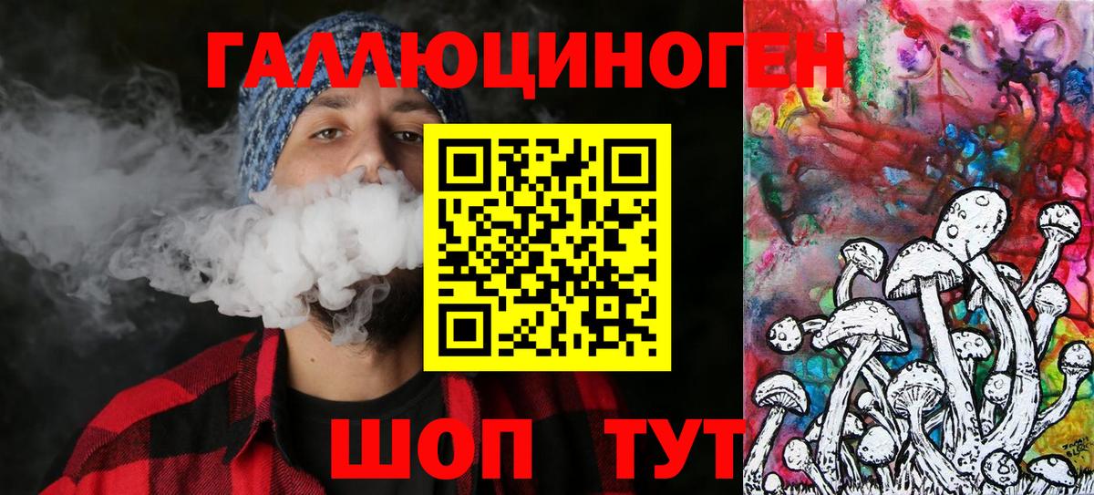 Владивосток  Галлюциногенные грибы прущие грибы  как найти наркотики  Вход с VPN 